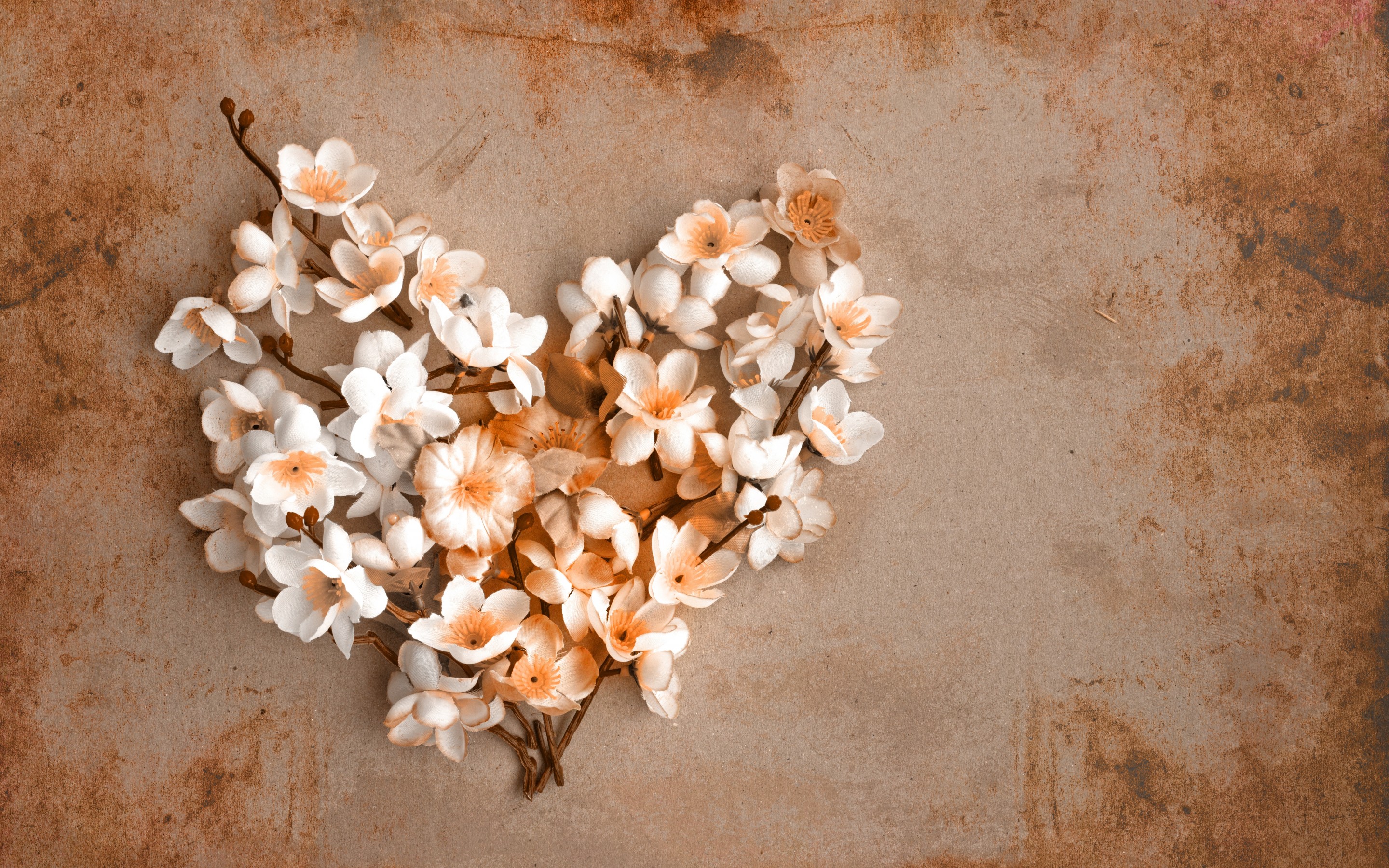 Beige Dry Flowers