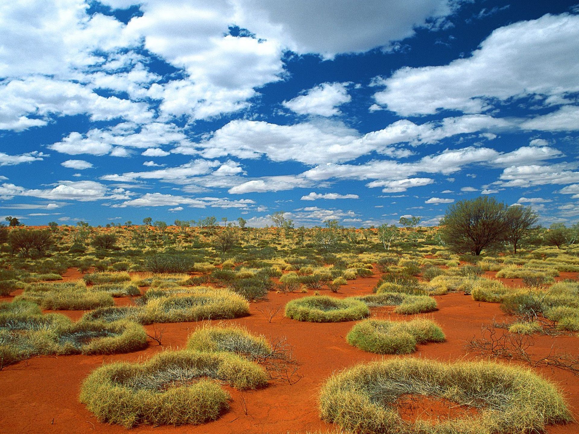 Природа австралии климат