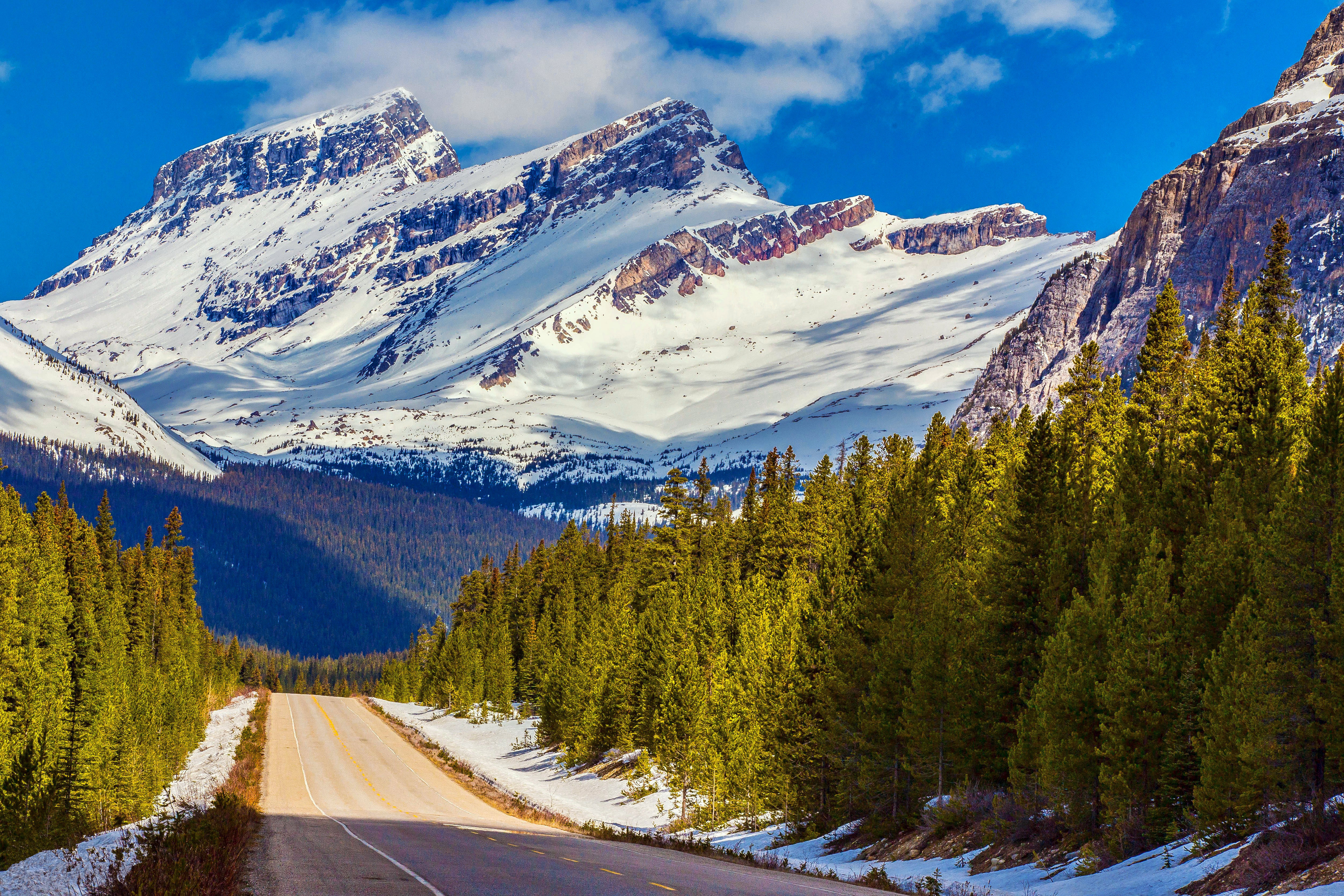 Alberta canada