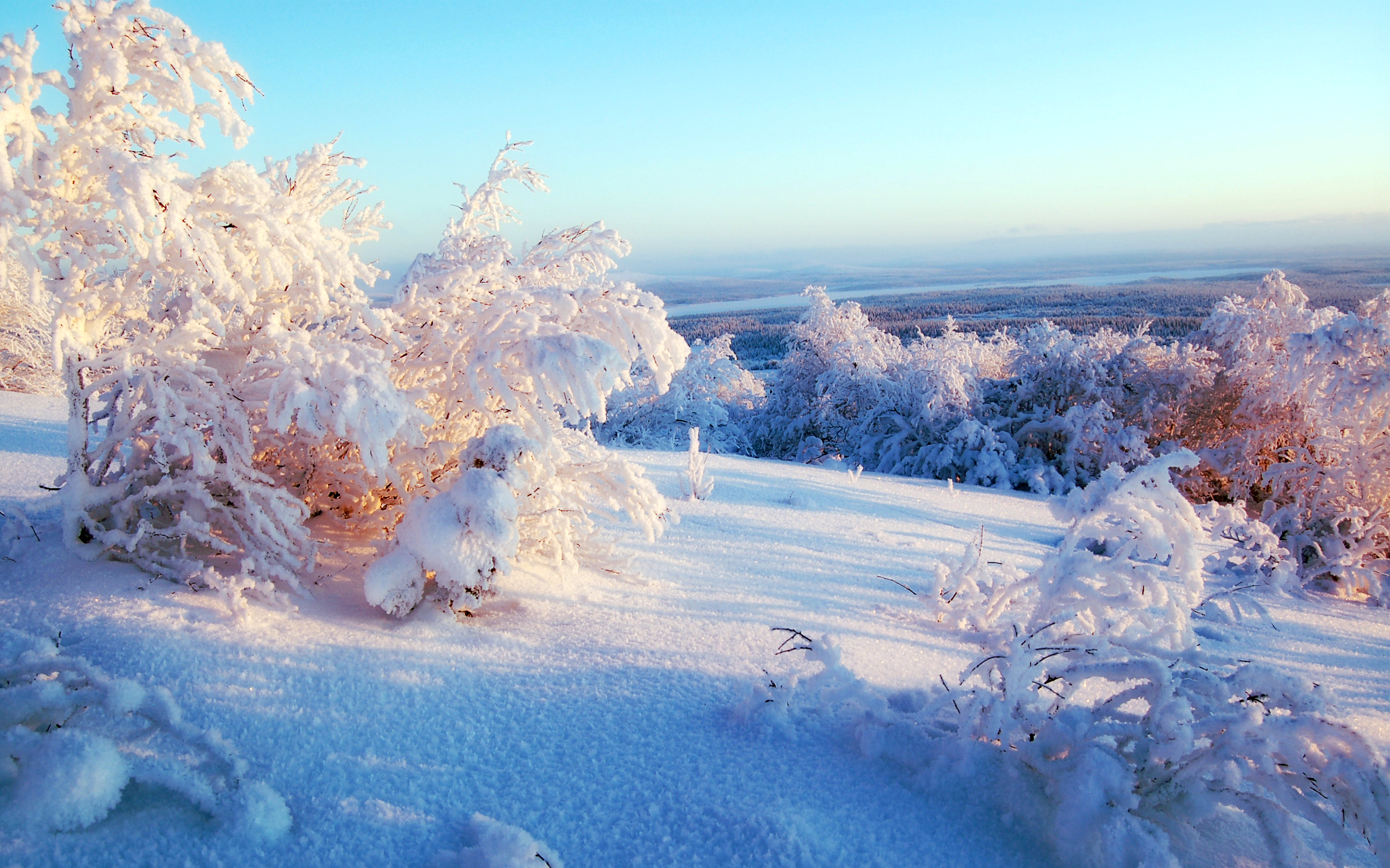 Звуки природы зимой. Зимний пейзаж. Снежная зима. Зимняя природа. Зима фото.