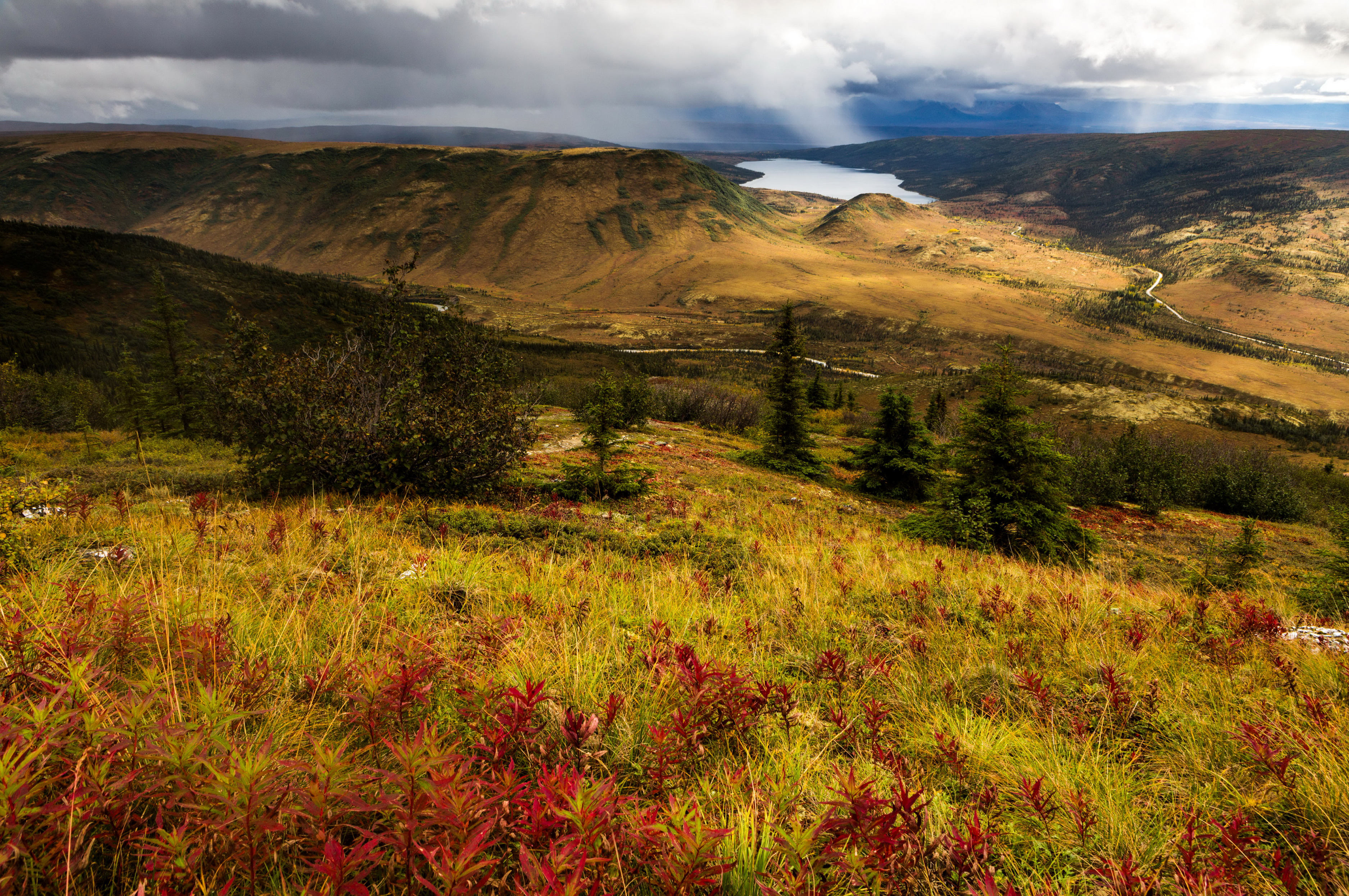 Какая природа в северной америке. Национальный парк Денали, штат Аляска. Парк Денали Аляска осень. Аляска тундра штат. Лесотундра Аляски.
