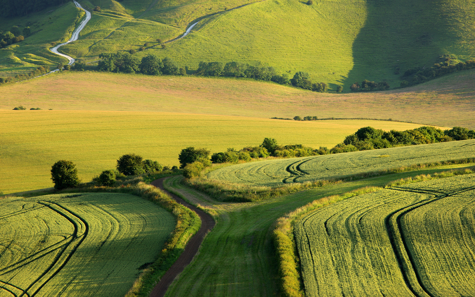 Farm grass. Долина Англия поле. Равнина Мидленд. Низменности Британии. Равнины Великобритании.