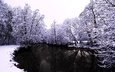 деревья, вода, река, снег, природа, лес, зима, фото