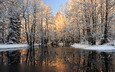 деревья, вода, снег, природа, зима, фото, лёд, зимние обои