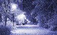 ночь, деревья, фонари, снег, зима, парк