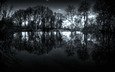 ночь, деревья, вода, обои, фото, пейзажи