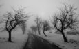 дорога, деревья, зима, чёрно-белое