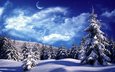 облака, снег, зима, елки