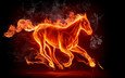 огонь, дым, темный фон, конь