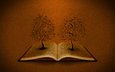 деревья, буквы, книга