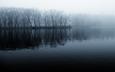 река, берег, лес, утро, туман, чёрно-белое, прохлада