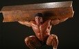 wallpaper, mariusz пудзяно__вский, mariusz pudzianowski, pole, strongman, muskulös, gewichtheber, der stärkste mann des planeten, rugbyspieler