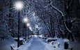 деревья, фонари, огни, вечер, снег, зима, парк, лавочки