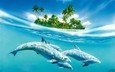 вода, остров, дельфины