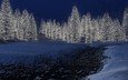 огни, снег, новый год, зима, елки