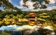 храм, япония, киото, японии, павильон, голден