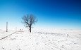 небо, дорога, снег, дерево, зима