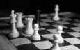 шахматы, чёрно-белое, игра, черное, белое