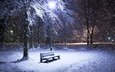 ночь, деревья, снег, зима, парк, фонарь, лавка