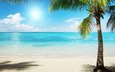 вода, солнце, берег, фото, море, песок, пейзажи, пальмы, океан, пальма, пляжи