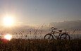 трава, солнце, природа, пейзаж, велосипед