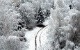 дорога, деревья, снег, обои, зима, winer, деревь, на природе, автодорога