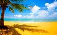облака, море, песок, пляж, пальма, тропики