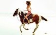 лошадь, девушка, пляж, модель, жезель бунхен, жизель бундхен
