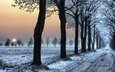 дорога, снег, зима, следы, деревь