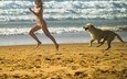 берег, девушка, настроение, море, песок, пляж, собака, игра, бег
