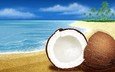 море, песок, кокос