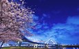 фонари, река, дерево, мост, япония