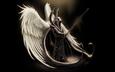 оружие, меч, крылья, ангел
