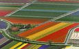 поле, тюльпаны, нидерланды