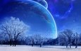 небо, деревья, зима, луна, голубой