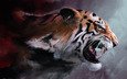 тигр, рисунок, кошка, ярость, клыки, рендеринг