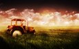 небо, трава, поле, пшеница, трактор