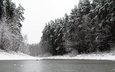 снег, природа, лес, зима, чёрно-белое, сосны, пруд