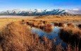 трава, горы, болото, новая зеландия