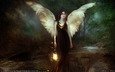 крылья, фонарь, светлячки, wioletta szczepanska - the last angel