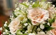 розы, букет, свадьба, обручальные кольца