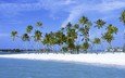 песок, пальмы, остров