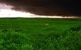 трава, облака, буря, зелёный, поле