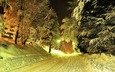 дорога, деревья, фонари, снег, зима
