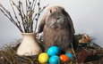 кролик, свеча, пасха, яйца, солома, верба