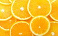 фрукты, апельсины, оранжевый, косточка