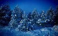деревья, снег, зима, синий, елки