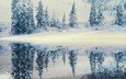 снег, зима, отражение, елки