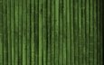 обои, текстуры, бамбук, texture wallpapers, green style