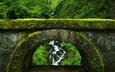 природа, зелень, зелёный, мост, водопад, мох, арка, заросли, каменный мост